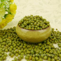 Grano A Verde Mung Bean Con Precio Favorable